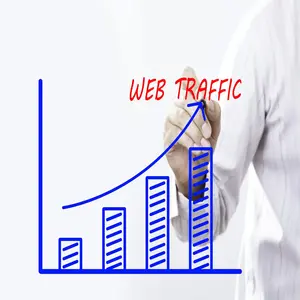 Increase Organic Traffic to Website